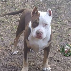 Meet your Posher, Nathan